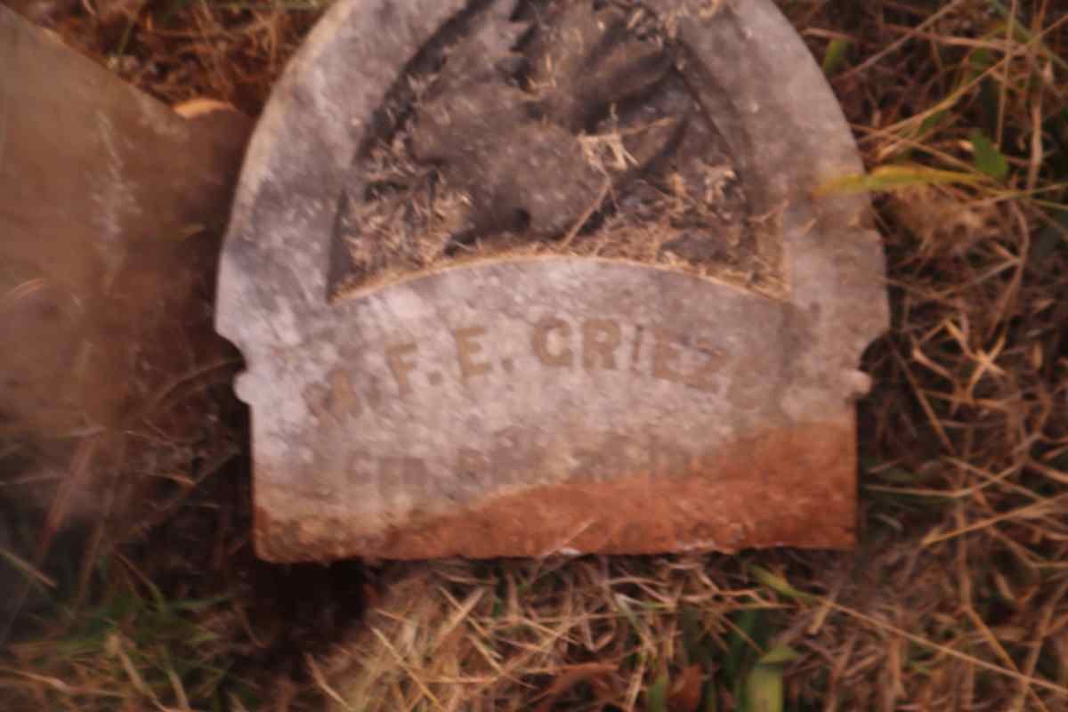 GRIEZEL M.F.E. 1894-