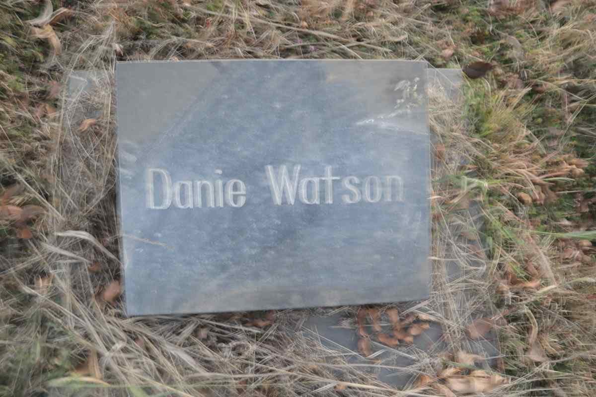 WATSON Danie