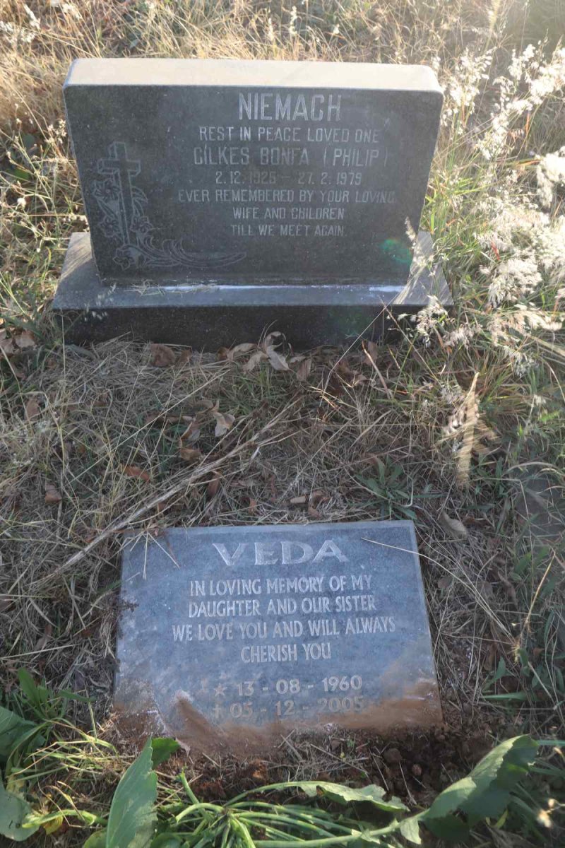 NIEMACH Gilkes Bonfa 1925-1979 :: NIEMACH Veda 1960-2005