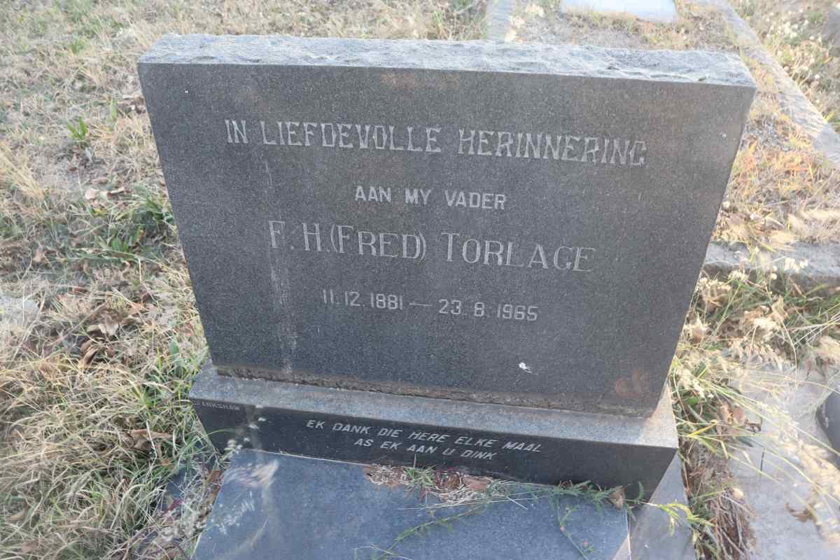 TORLAGE F.H. 1881-1965