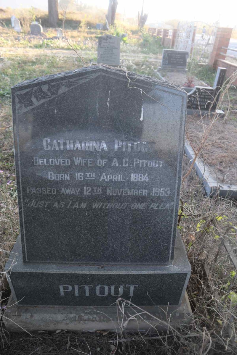 PITOUT Catharina 1884-1953