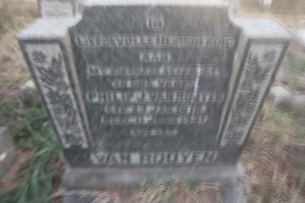 ROOYEN Philip J., van