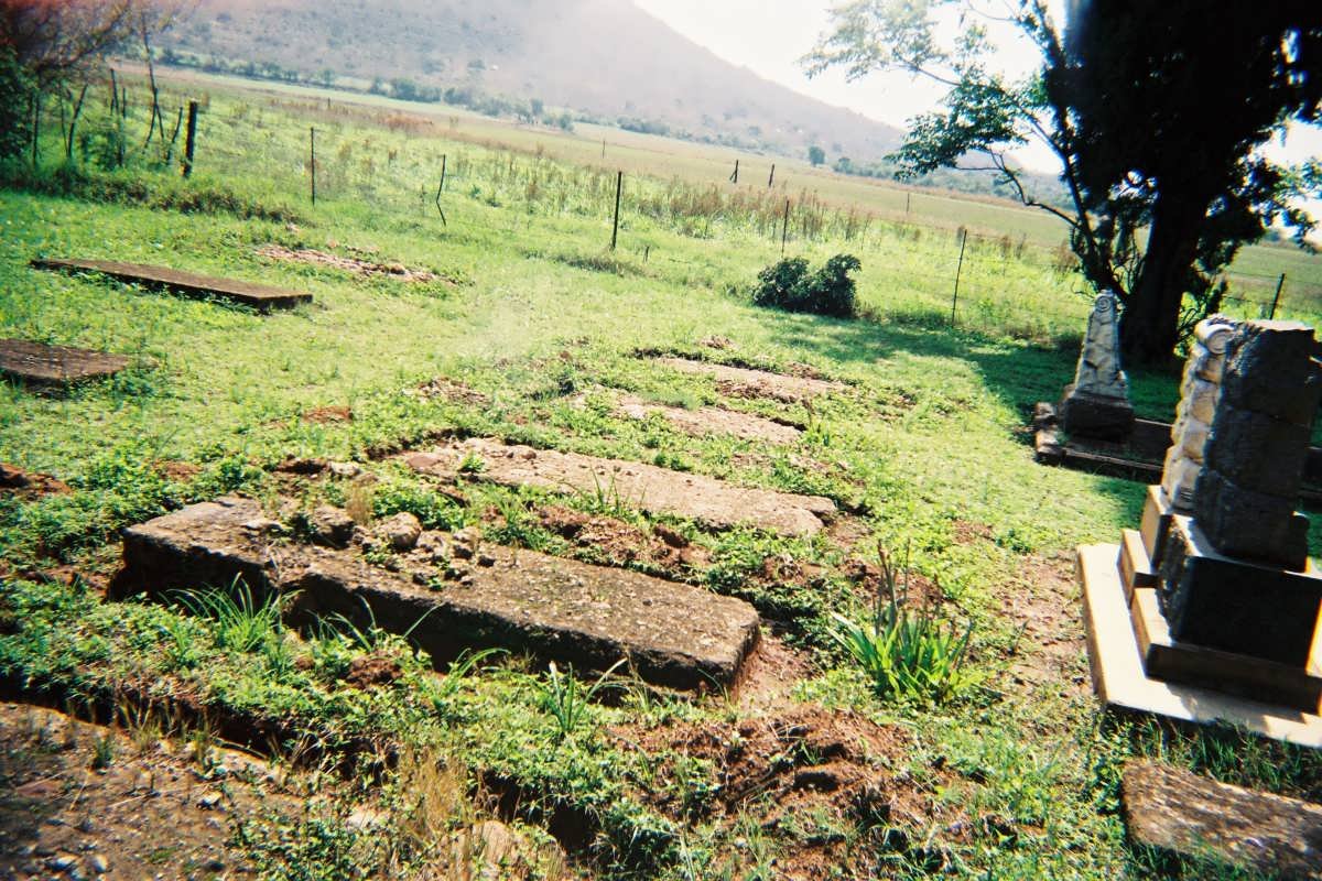 2. Overview